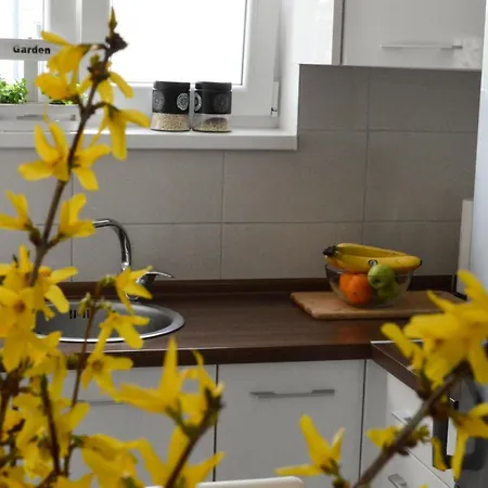 Holiday Romana Dom wakacyjny *